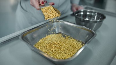 Порядок действий в ГИИС ДМДК при отправке партий сырья на аффинаж