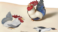 Сенсация на торгах Christie’s: Легендарное «Зимнее яйцо» и утраченный альбом эскизов Фаберже