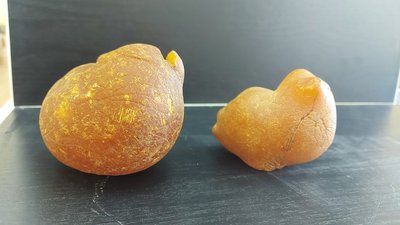 Янтарный комбинат покажет самые большие в мире янтарные капли