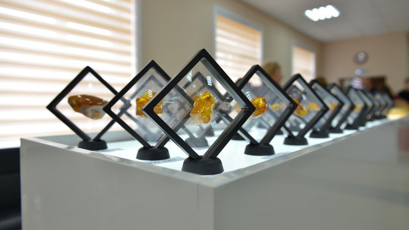 Янтарный комбинат выставит на онлайн-аукцион более 50 лотов редкого янтаря