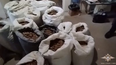 В Калининграде полицейские изъяли из незаконного оборота более 15 тонн янтаря