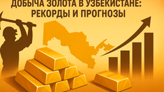 Узбекистан бьет золотые рекорды: Как страна вошла в топ-10 мировых золотодобытчиков