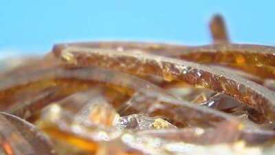 "Ловцы янтаря": новое расследование Эдуарда Петрова