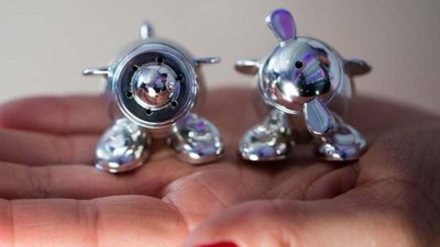 Как украденная серебряная солонка сделала популярной целую авиакомпанию