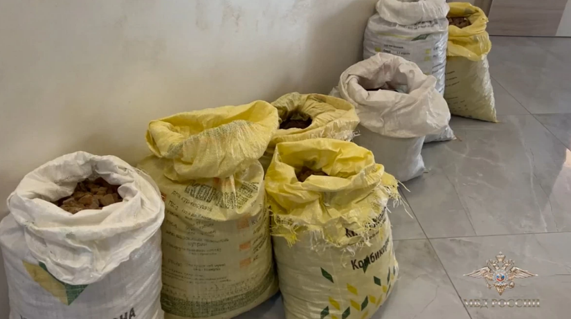 В Калининградской области полицейские изъяли из незаконного оборота более 550 кг янтаря