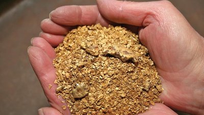 В Забайкалье из незаконного оборота изъято 290 грамм рассыпного золота