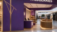 Wildberries идет в торговые центры с премиум-форматом: Ювелирные салоны превратятся в пункты выдачи?