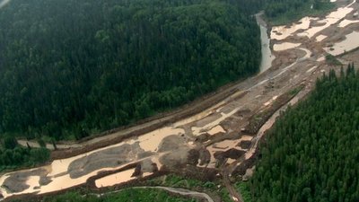 Не все то золото: Экологи бьют тревогу из-за последствий незаконной добычи золота