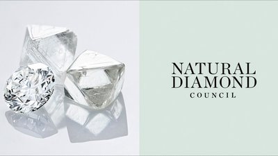 Организуемый Vogue India и NDC виртуальный «Бриллиантовый фестиваль» запланирован на 20-21 августа