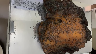 Под Калининградом нашли свою Антарктиду