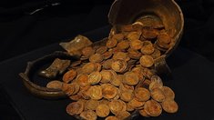 Эхо революции: в Торжке археологи обнаружили уникальный золотой клад из 409 монет