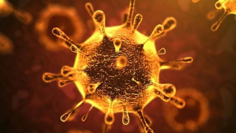 Золотой коронавирус: Гильдия ювелиров оценила убытки ювелирной отрасли