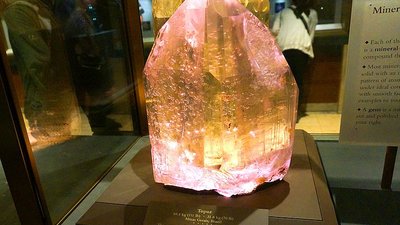 Владимир Збойков: Почему то, что можно Джиму и Робу, нельзя Ивану и Владимиру?