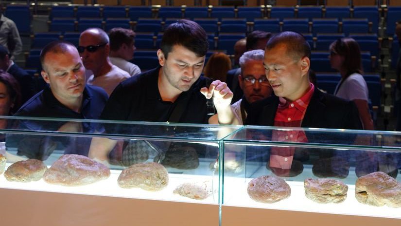 В рамках «Amberforum 2022» пройдет единственный в мире открытый аукцион по продаже уникального янтаря