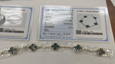 Шереметьевские таможенники пресекли контрабанду люксовых украшений на 6 млн рублей