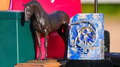 "ЦИРКОН С" создал эксклюзивные награды для ключевых конных турниров Петербурга