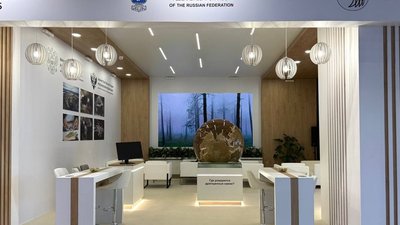 Федеральная пробирная палата на XIII Петербургском международном юридическом форуме: демонстрация ГИИС ДМДК и ювелирного искусства