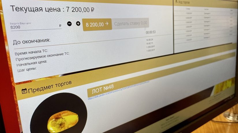 Самым дорогим камнем на аукционе Янтарного комбината стал самородок «Победитель»