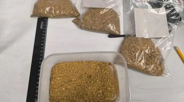 Золото в детской люльке: житель Хабаровского края пойдет под суд за провоз драгметаллов на 34 млн рублей