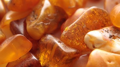 В Калининградской области окончено расследование уголовного дела о незаконном обороте янтаря