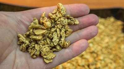 АЛРОСА приступит к добыче россыпного золота в Якутии