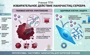 Новое исследование ученых: наночастицы серебра избирательно уничтожают раковые клетки и защищают здоровые