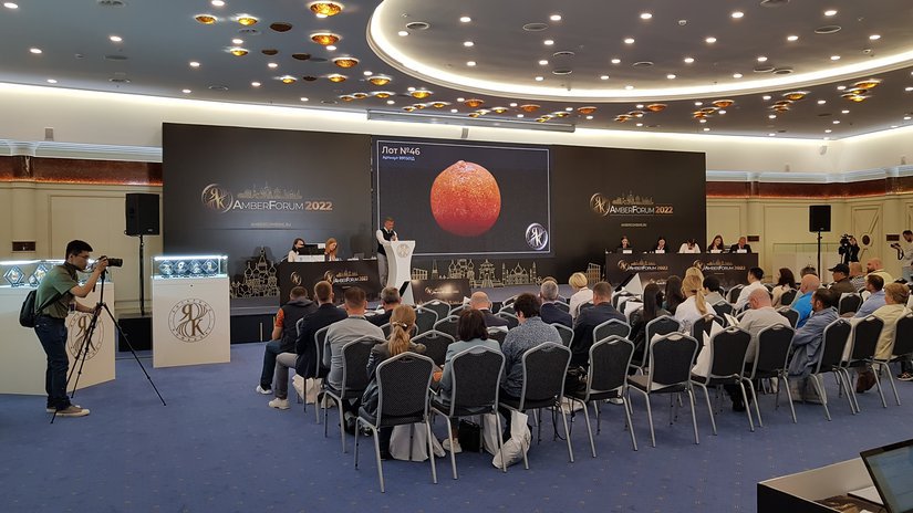 Amberforum 2022: Сорок лотов инклюзивного янтаря были распроданы на аукционе Калининградского янтарного комбината