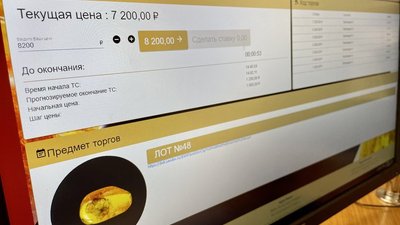 Самым дорогим камнем на аукционе Янтарного комбината стал самородок «Победитель»