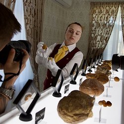 70 лотов с редкими камнями выставят на единственном в мире аукционе уникального янтаря