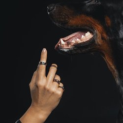 MitJewelry / ИП Мит