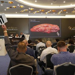 Янтарный комбинат Ростеха выставит на аукцион самородки на 14,5 млн рублей