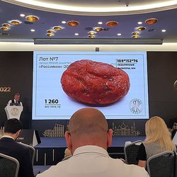 Amberforum2022: Первый день форума на аукционах уникальных камней продано 100% лотов
