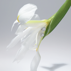 BERLIANI JEWELRY & DIAMONDS