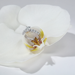 BERLIANI JEWELRY & DIAMONDS