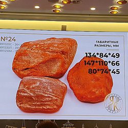 Amberforum2022: Первый день форума на аукционах уникальных камней продано 100% лотов