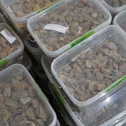 Почти 80% янтарных лотов выкупил малый бизнес на открытом аукционе Калининградского комбината Ростеха