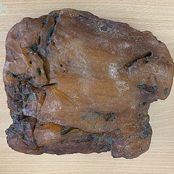 Добыты килограммовые янтарные самородки Олимпиец , Парашют и Ювелир