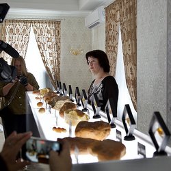 70 лотов с редкими камнями выставят на единственном в мире аукционе уникального янтаря