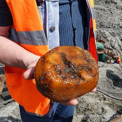 На Калинградском янтарном комбинате началась подготовка к добычному сезону