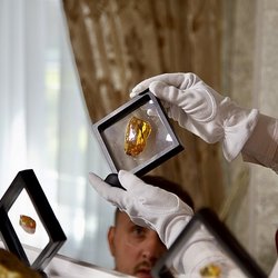 70 лотов с редкими камнями выставят на единственном в мире аукционе уникального янтаря