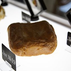 70 лотов с редкими камнями выставят на единственном в мире аукционе уникального янтаря