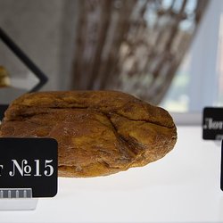 70 лотов с редкими камнями выставят на единственном в мире аукционе уникального янтаря