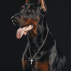 MitJewelry / ИП Мит