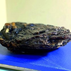 Янтарный комбинат Ростеха добыл первый в 2024 году самородок возрастом 45 млн лет