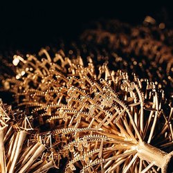 «585*Золотой» раскрывает производственные секреты: сеть запустила проект-экскурсию по собственному заводу