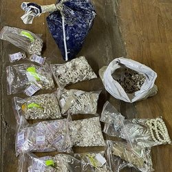 Спецслужбы Киргизии выявили подпольный цех изготовления и клеймения ювелирных изделий