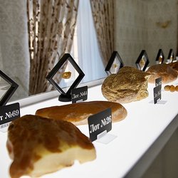 70 лотов с редкими камнями выставят на единственном в мире аукционе уникального янтаря