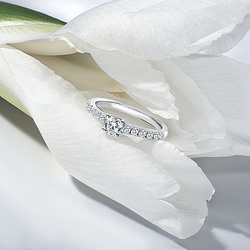 BERLIANI JEWELRY & DIAMONDS