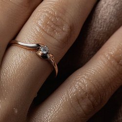 Шабалина Дарья Михайловна, ИП