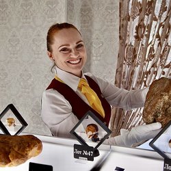 70 лотов с редкими камнями выставят на единственном в мире аукционе уникального янтаря